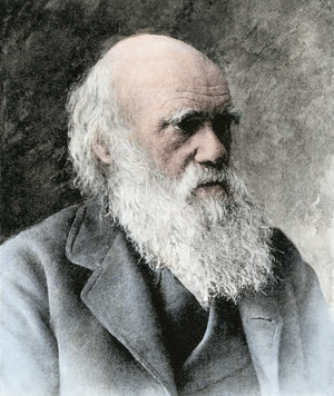 Charles Darwin, about 1880.