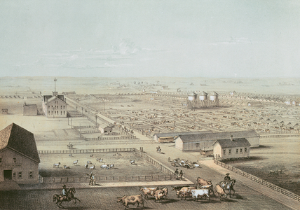 Union Stockyards, Chicago (colour litho)