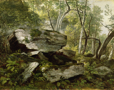 Study from Nature: Rocks and Trees, c.1856 (oil on canvas)