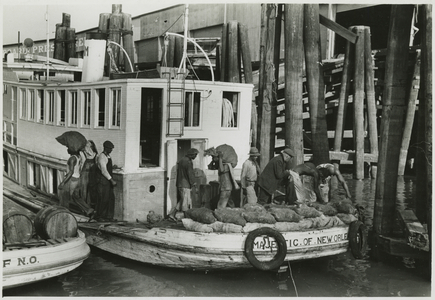 Unloading oysters from a packet boat arriving at New Orleans, Louisiana (b/w photo)