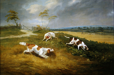 Huntsman and hounds at covert, 1816 (oil on canvas)