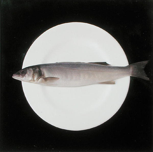 Sea Bass on a White Plate (oil on board)