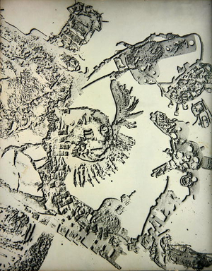 Untitled (photogram)