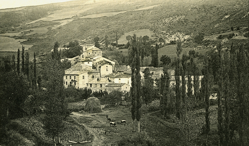 Country view in front of the village of Belfort (Aude, 11). Herds and fodder ball. Cliche Michel Jordy, beginning 20th century. Patrice Cartier Collection.