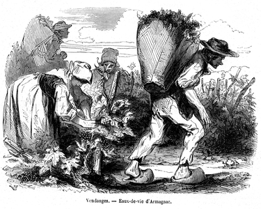 Harvest in the Gers in the middle of the 19th century. Armagnac brandy. Engraving from “La France Illustree”” by V.A. Malte-Brun (Malte Brun), edition Barba 1870.