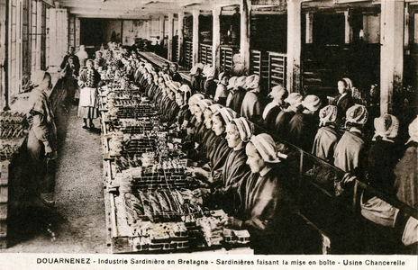 Sardiniere Industry: Sardinieres de Douarnenez (Brittany, Finistere) canning sardines at the Chanterelle factory at the beginning of the 20th century - fishing - fish - canning, canning -