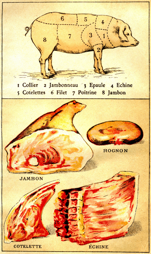 Plate from the book “Le cuisinier Europeen””, early 20th century.