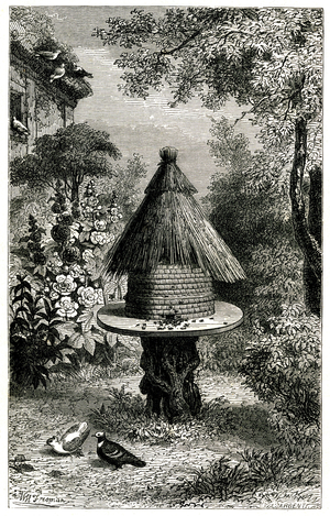 Beehive and bees in a garden. Frontispice by Freeman of Arthur Mangin's book “The world of air””, Editions Mame 1880.