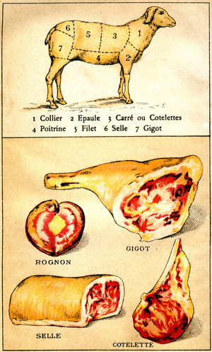 Plate from the book “Le cuisinier Europeen””, early 20th century.