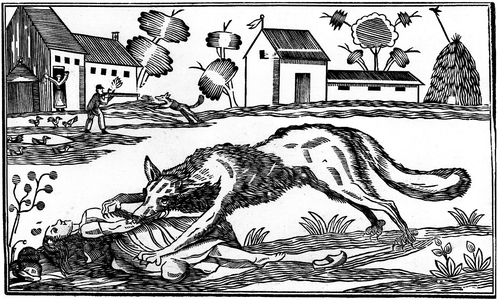 Wolves attack villagers - a wolf devores a young woman, 19th century (etching)