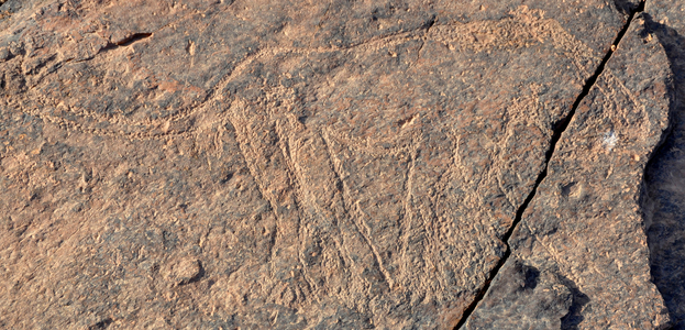 South of Morocco: massif of the Assif Kelmt between Taghjijt and Amtoudi (Id Aissa) - rock engraving approx. 2000 to 3000 years BC - felin with big claws - Photo Patrice Cartier