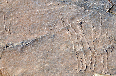 South of Morocco: Assif Kelmt massif between Taghjijt and Amtoudi (Id Aissa) - rock engraving approx. 2000 to 3000 years BC - giraffe - Photo Patrice Cartier