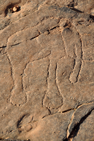 South of Morocco: Assif Kelmt massif between Taghjijt and Amtoudi (Id Aissa) - rock engraving approx. 2000 to 3000 years BC - elephant - Photo Patrice Cartier