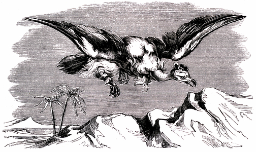 Sindbad the sailor (Sinbad) - tale of the thousand and one (1001) nights - Second trip: Sindbad is carried away in the air, hanging on a paw of the giant bird named Roc. They fly over the desert - engraving 19th century