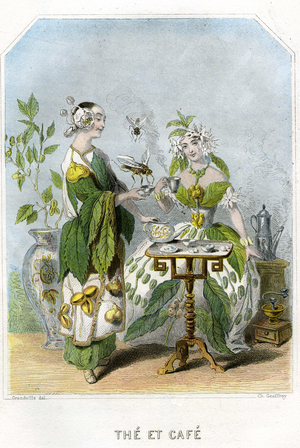 Illustration for 'Les Fleurs Animees', 1857 (engraving)