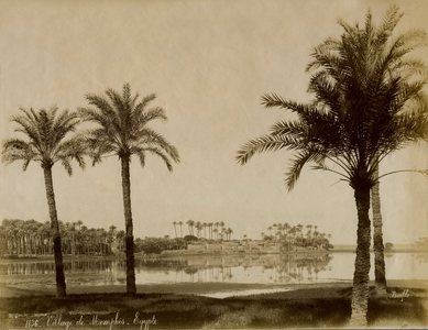 Palm grove and village of Memphis, on the banks of the Nile, Egypt, circa 1870. Original photograph by Felix Bonfils. Print of the period on albumin paper (220 x 280 mm) after a negative glass in the collodion, sign, place, title and bearing a reference number (1136) at the bottom in the image.