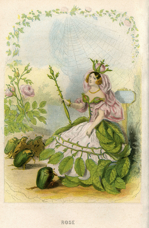 Illustration for 'Les Fleurs Animees', 1857 (engraving)