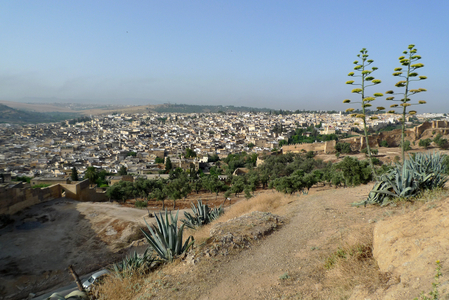 Fes (Fez) Morocco: view of the medina from the ruins of the Merinides tomb - Photo Patrice Cartier -