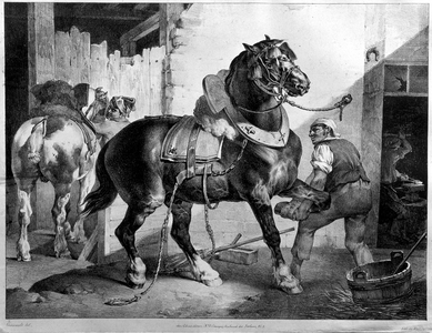 Fitting of a draught horse, 19th century (lithograph)