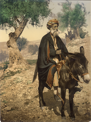Arab man from Bethlehem on his donkey, c.1880-1900 (photochrom)