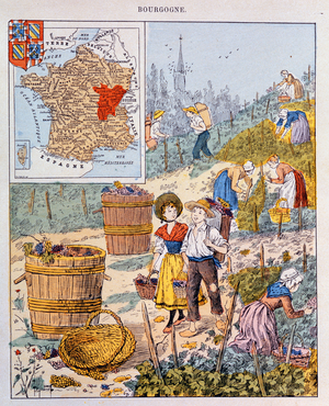 The Grape Harvest in Burgundy, illustration from a school textbook, c.1910 (colour litho)
