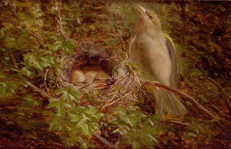 A Greenfinch at its Nest, 1877 (oil on panel)