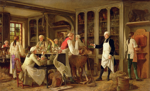 Louis Jean Marie Daubenton (1716-99) in his Laboratory, 1873 (oil on panel)