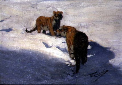 Siberian Tigers in the Snow (oil on canvas board)