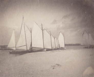 Sailboats on the New Jersey Shore, c.1881 (albumen silver print)