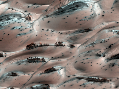 Martian dunes in Spring - March: Spring view of Dunes - Detail on sand dunes near the north pole of Mars. These dunes are covered with carbon dioxide gel during the Martian winter. In spring, dark streaks appear, sand flows caused by the degel. Image obtained by the HIRISE camera of the Mars Reconnaissance probe orbiter on April 7, 2008. HIRISE is a 50 cm telescope that observes visible and near infrared. Falling Material Kicks Up Cloud of Dust on Dunes. There is a vast region of sand dunes at high northern latitudes on Mars. In the winter, a layer of carbon dioxide ice covers the dunes, and in the spring as the sun warms the ice it evaporates. This is a very active process, and sand dislodged from the crests of the dunes cascades down, forming dark streaks. In thid image falling material has kicked up a small cloud of dust. The color of the ice surrounding adjacent streaks of material suggests that dust has settled on the ice at the bottom after similar events. Also discernible in this subimage are polygonal cracks in the ice on the dunes (the cracks disappear when the ice is gone). Image taken on 07 April 2008 by Mars Reconnaissance Orbiter (MRO) spacecraft