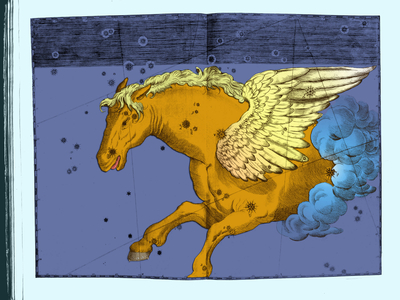 Constellation Pegase - Constellation of Pegasus - Uranometria by Johannes Bayer 1661 Recolorise by us Uranometria of Johannes Bayer 1661. Recolored