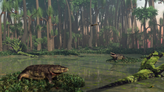 Eryops - Close to modern crocodiles, two Eryops, giant prehistoric amphibians evolute in a carboniferous marsh about 300 million years ago. With a length of up to two metres, Eryops was one of the greatest predators of his time. Also visible in the picture, lower right, is an amphibian (Ophiderpeton) and a Meganeura in flight. Resembling modern crocodiles, two giant prehistoric amphibians from the genus Eryops dominate a Carboniferous swamp 300 million years ago in what is today North America. At six feet long and 200 pounds, Eryops was one of the largest predators of its time. It probably spent most of its time in the water, and like modern crocodiles probably fed on fish and other swimming vertebrates. Also in this image, on the lower right is a snake - like, legless amphibian from the genus Ophiderpeton. Flying overhead and resembling a giant dragonfly is a prehistoric insect from the genus Meganeura. The tree - like plants making up the surrounding forest include Sigillaria scutellata and Lepidodendron aculeatum. The low ground cover includes various primitive ferns and mosses