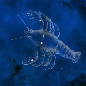 Constellation Cancer - Cancer constellation - The constellation Cancer with its main stars. Constellation of Cancer with its main stars