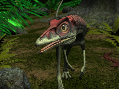 Compsognathus - This small dinosaur of about 60 centimetres lived in the Upper Jurassic 150 million years ago in what is today Europe. A turkey-size Compsognathus wonders a late Jurassic forest 150 million years ago in what is today Europe. A petit carnivore, it is believed Compsognathus was a fast and agile runner with excellent eyesight