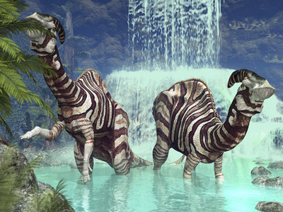 Parasaurolophus - Two Parasaurolophus feed near a waterfall. These herbivorous dinosaurs lived in North America at the cretace about 75 million years ago. A pair of 3 ton plant-eating Parasaurolophus dine on flora near a waterfall 75 million years ago in North America. Similar to plant-eating Lambeosaurus of the same period, these dinosaurs also sported a distinctive hollow cranial crest