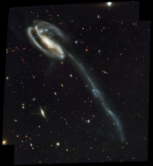 Galaxy UGC 10214 in the Dragon - Galaxy UGC 10214 in Draco - The galaxy UGC 10214 is about 420 million years away - light from Earth. The shape of this galaxy is due to a collision with another galaxy, the small galaxy, blue, visible in the upper left corner of the image. Powerful gravitational forces are responsible for the formation of the tail, consisting of stars of dust and gas, which stretches over nearly 28,000 light years and is composed of recently formed and extremely bright blue stars. In the background, more than 6000 galaxies are visible, some more than 12 billion years apart - light. Image obtained by the Hubble Space Telescope in April 2002. This picture of the galaxy UGC 10214 was taken by the Advanced Camera for Surveys (ACS), which was installed aboard Nasa's Hubble Space Telescope in March during Servicing Mission 3B. Its distorted shape was caused by a small interloper, a very blue, compact galaxy visible in the upper left corner of the more massive Tadpole. The Tadpole resides about 420 million light - years away in the constellation Draco. Seen shining through the Tadpole's disk, the tiny intruder is likely a hit - and - run galaxy that is now leaving the scene of the accident. Strong gravitational forces from the interaction created the long tail of debris, consisting of stars and gas that stretch out more than 280,000 light - years. Numerous young blue stars and star clusters, spawned by the galaxy collision, are seen in the spiral arms, as well as in the long “” tidal”” tail of stars. Each of these clusters represents the formation of up to about a million stars. Their color is blue because they contain very massive stars, which are 10 times hotter and 1 million times brighter than our Sun. Once formed, the star clusters become redder with age as the most massive and bluest stars exhaust their fuel and burn out. These clusters will eventually become old globula