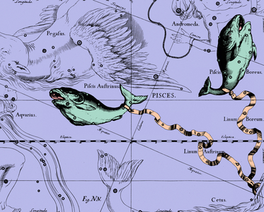 Constellation of Pisces - Constellation of Pisces - The constellation of Pisces extracted from the Uranographia of Hevelius. Recolorised image. Map showing the constellation of Pisces with its mythological form from “” Uranographia”” star atlas by Hevelius (1690). Recolored Image