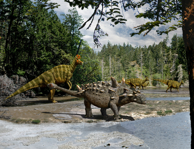 Late Cretaceous Fauna - Late Cretaceous Fauna - Late Cretaceous Fauna. A Euoplocephalus tutus and a herd of Corythosaurus casuarius. Montana during the late Cretaceous. An Euoplocephalus tutus and a Corythosaurus casuarius herd