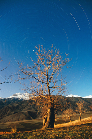 Circumpolar - Circumpolar - Photographic pose showing the apparent rotation of stars around the polar star. Elbourz, Iran. Long exposure image of starry sky around the pole star. Alborz mountain, Iran