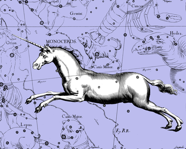 Constellation de la Licorne - Constellation of Monoceros - Constellation de la Licorne extraite de l'Uranographia d'Hevelius. Image recolorisee. Map showing the constellation of Monoceros with its mythological form from ""Uranographia"" star atlas by Hevelius (1690). Image recolored 