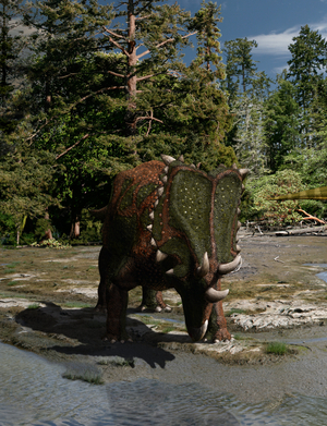 Chasmosaurus - Chasmosaurus is a late Cretacean herbivore dinosaur that lived in North America. With its 5 to 6 metres long and its weight of 3 tonnes, it was a medium-sized ceratopside. Chasmosaurus is a genus of ceratopsid dinosaur from the Upper Cretaceous Period of North America. Length of 5-6 meters and weight of 3.6 tons