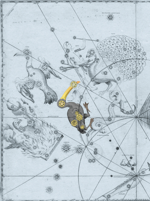 Constellation of Toucan - Constellation of Tucana - Uranometria by Johannes Bayer 1661 Recoloured by us. Uranometria of Johannes Bayer 1661. Recolored