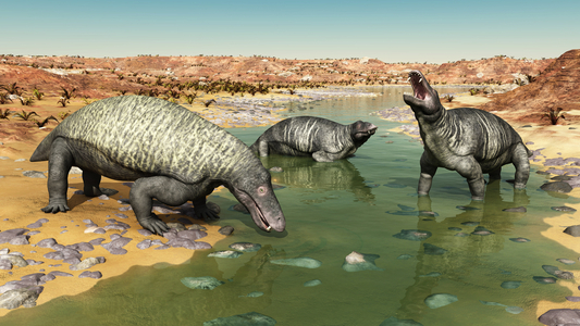 Jonkeria - Artist view of Jonkeria dinocephals 262 million years ago, in South Africa. These missing animals were not dinosaurs but mammalian reptiles (Therapsides) living in Permian. 12-foot-long 500 pound dinocephalian therapsids of the genus Jonkeria pause in a shallow stream in a dry mid-Permian landscape 262 million years ago in what is today South Africa. Vegetation includes various ferns. Jonkeria was large mammal-like reptile with a stout piglike build. Paleontologists haven't been able to determine whether Jonkeria was an herbivore, carnivore, or possibly like modern pigs an omnivore