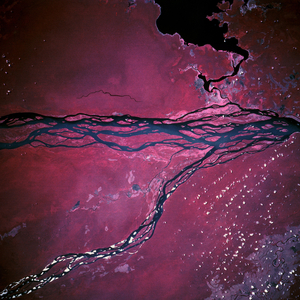 Rivers Zaire and Ubangui - Democratic Republic of Congo - 03/95 - The rivers Zaire and Ubangui observed by the shuttle STS-67 in March 1995