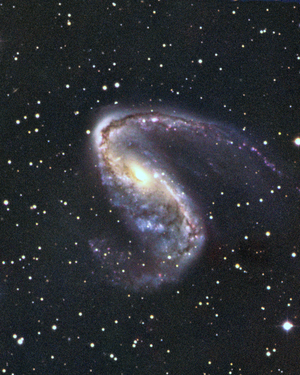 Barree spiral galaxy NGC 2442 in Flying Fish - NGC 2442, a barred spiral galaxy in Volans - NGC 2442 is a barree spiral galaxy located about 50 million years ago - light. Its asymmetrical shape suggests that a galaxy interacts with it. Image made with Siding Spring's 3.9m telescope. This unusual barred spiral galaxy is in the far southern constellation of Volans and was discovered by Sir John Herschel who described one of its spiral arms as hook - like. Although not seen here, (but evident on very deep images) NGC 2442 appears to have a less massive, distant companion that is also distorted, and it seems likely that the two have had a close encounter in the recent past. If there are no further meetings, the forces that hold NGC 2442 together will restore galaxy to a more symmetrical spiral form. However, much more likely is that the companion has been captured by the distorted spiral and will eventually be devoured by it, triggering a dramatic bout of star formation. NGC 2442 is about 50 million light years distant