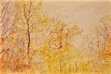 In the Woods 3 (w/c on paper)