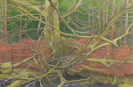 On the Banks of the River Bedelder, 2004 (pastel, pencil and gouache on paper)
