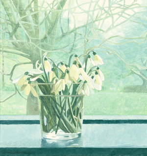 Snowdrops, 2001 (oil on board)