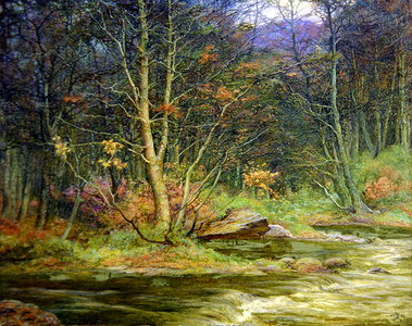 A Woodland Rivulet (oil on canvas)