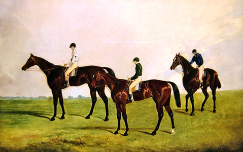 Racehorses Jockeys Up (oil on canvas)